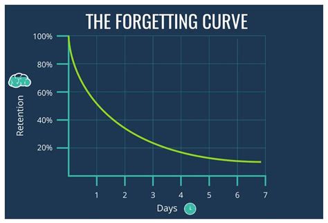 The Forgetting Curve - Petra Mayer Consulting