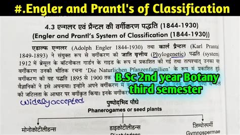 Engler And Prantl S System Of Classification B Sc 2nd Year Botany