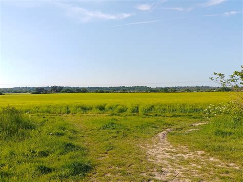 Wheat Field Near Round Hill © Oscar Taylor Geograph Britain And Ireland