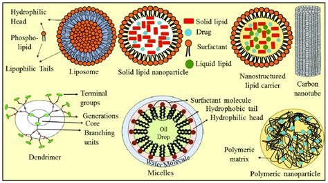 The Structural Representation Of Various Types Of Nanocarriers Explored