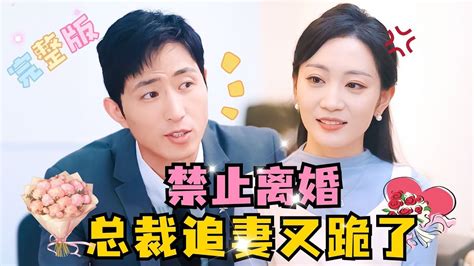 Multi Sub 💕王凯沐×姚宇晨 清冷眼科医生vs深情毒舌总裁，三年的协议婚姻，当老婆失望提出离婚，他心慌不舍却嘴硬短剧