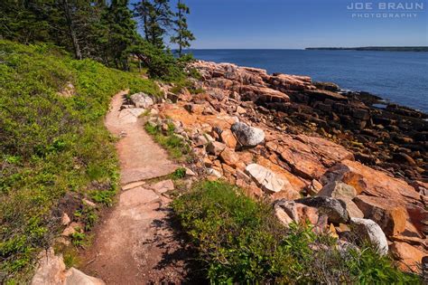 Ship Harbor Trail Hiking Guide Joe S Guide To Acadia National Park