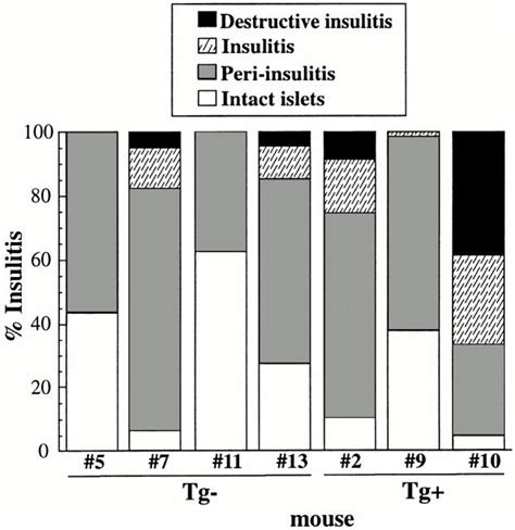 Ltβr Blockade Does Not Affect The Severity Of Insulitis Severity Of Download Scientific