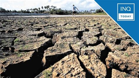 El Niño effects could make 2024 one of the warmest years on record