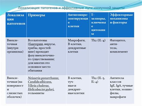 Презентация "Противобактериальный иммунный ответ" – скачать проект