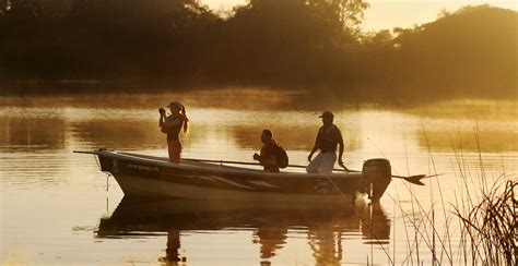 Irupé Lodge un lugar para vivir los Esteros del Iberá conocé la