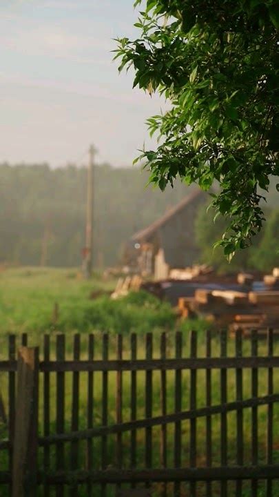 Утро в деревне #деревня#жизньвдеревне#лето#красота#природа - YouTube