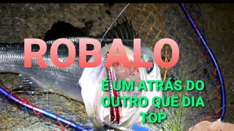 Muito Peixe Na Ponta Da Linha Dia Topzeira De Mais Fishing Seabass