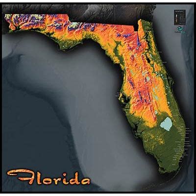 Florida Topography Map | Colorful Natural Physical Landscape