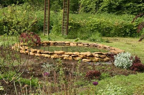 Créer une mare naturelle dans son jardin Conseils