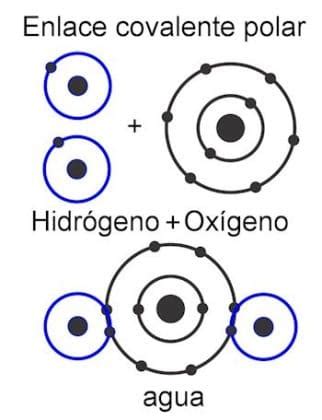 √ Diferencia entre enlace covalente polar y no polar | 【SOLUCIÓN】