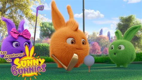 Golf dorado Las Aventuras de Sunny Bunnies Dibujos para niños YouTube