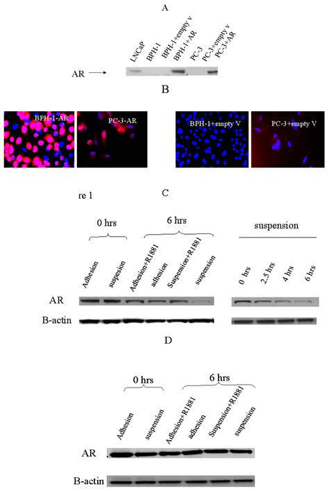 IJMS | February 2007 - Browse Articles 