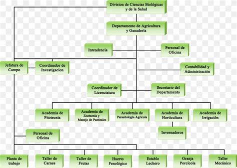 Veterinary Organizational Charts