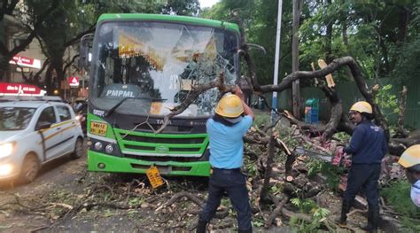 Narrow Escape For Passengers As Tree Branch Falls On Moving Pmpml Bus