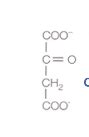 TCA Cycle And Oxidative Phosphorylation Flashcards Quizlet