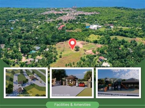 Subdivided Lot Lots March In Dauis Bohol For Sale