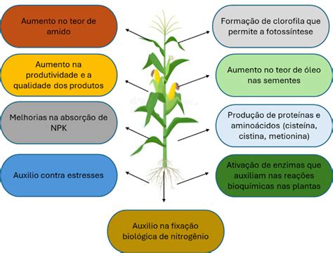 Pra Que Serve Enxofre - Enxofre: o que é, para que serve e como aplicar? - Nutrição de Safras