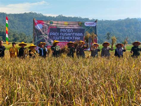 Kasdim 0607 Kota Sukabumi Hadiri Gerakan Panen Padi Nusantara 1 Juta