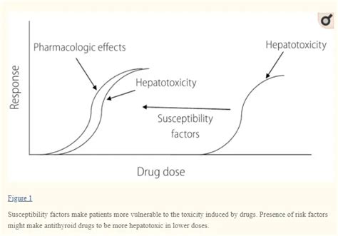 Methimazole Side Effects You Should Know