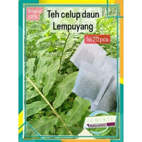 Jual Teh Celup Daun Lempuyang Isi 20 Pcs Teh Original Teh Herbal