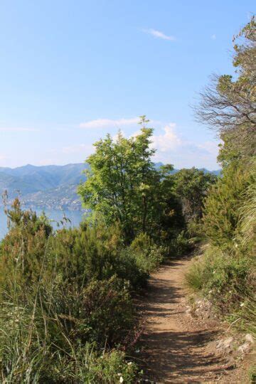 What Is Portofino Italy Famous For?: Discovering Coastal Paradise