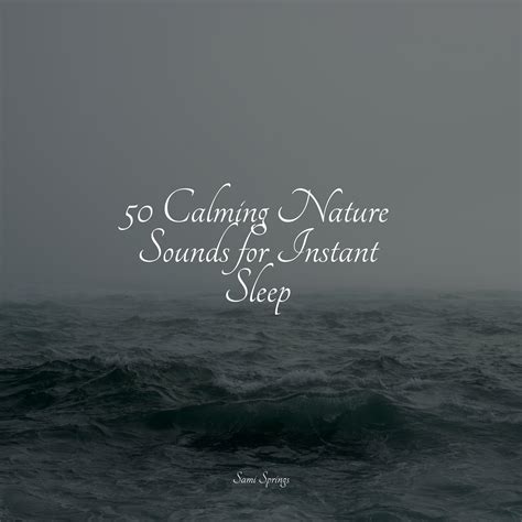 White Noise Drip Drop Rains Nature Sounds Collection Classical