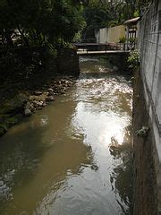 Category Paltok Bungad Tangue Creek Quezon City Wikimedia Commons