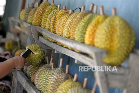 Benarkah Durian Tinggi Kolesterol Ternyata Cuma Mitos Ini Kata Ahli