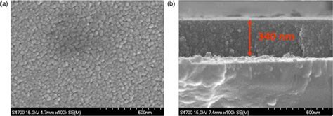 A Sem Image Of Surface And B Cross Section Morphologies Of