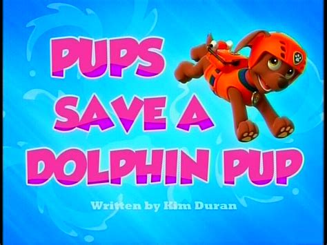 Image - Pups Save a Dolphin Pup SD.png | PAW Patrol Wiki | FANDOM powered by Wikia