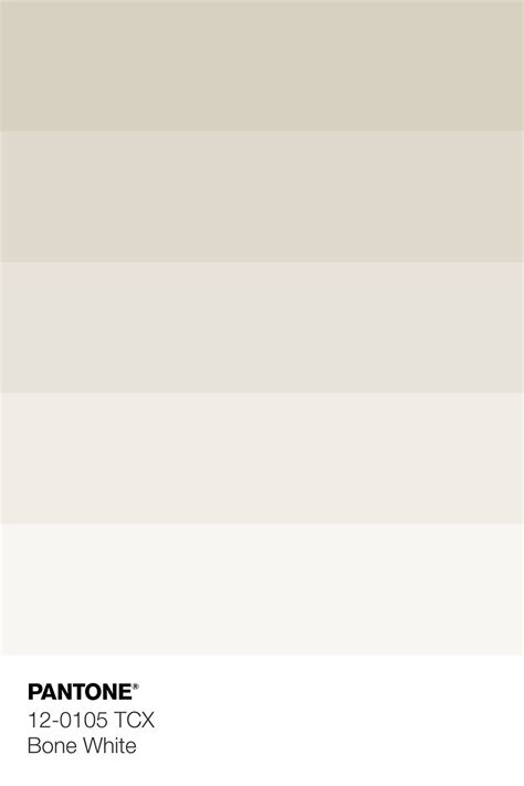 This Seasonal Color Palette Seems To Blend Medium Tone Colors With Some