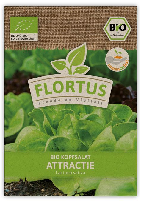 Kopfsalat Attractie 100 Stück BIO Salatsamen von FLORTUS