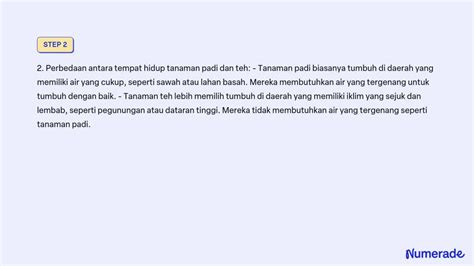 SOLVED Apa Kesimpulan Tentang Tanaman Padi Dan Teh Diatas Apa