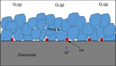 1 Schematic Representation Of Three Interfaces For Orr The Aircathode