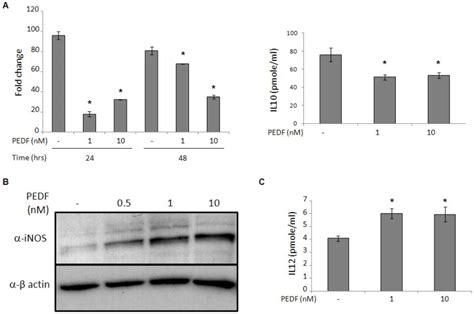 Positive Correlation Between Pedf Expression Levels And Macrophage