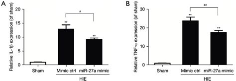 The Effects Of Mir 27a On The Inflammatory Factors Il 1β And Tnf α