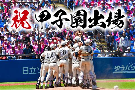 硬式野球部第105回全国高等学校野球選手権大会西東京大会 優勝 日本大学第三中学校・日本大学第三高等学校