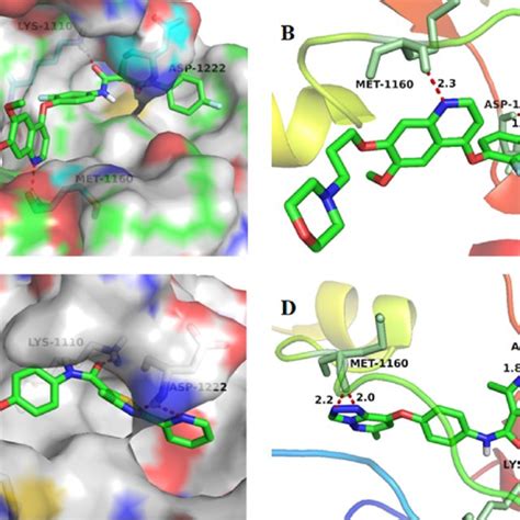 Docking mode of Foretinib and compound 12e. (A, B) Binding model of ...