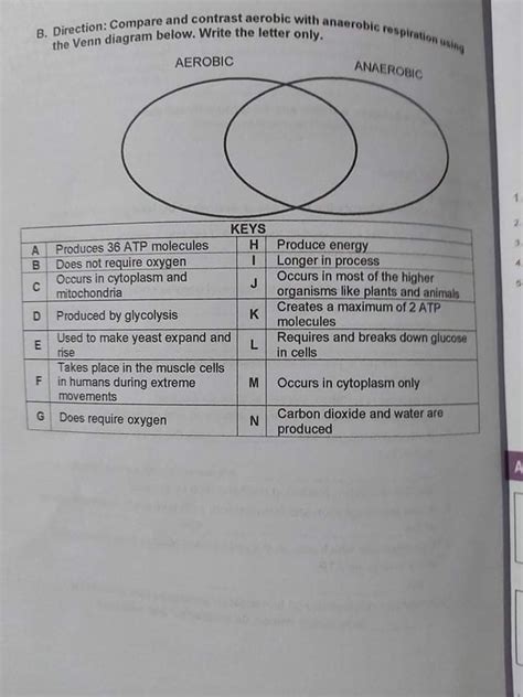 Anaerobic Vs Aerobic Venn Diagram