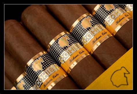 Cohiba Siglo Vi Single