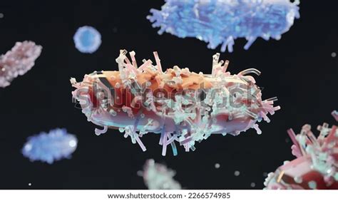 Peritrichous Bacteria Flagellum Bacteria Long Tails Stock Illustration 2266574985 | Shutterstock