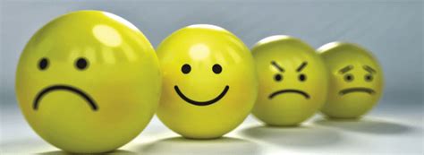 Cerveau PUISSANT organe sexuel GROUPE GAY GLOBE MÉDIA LE POINT