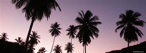 Purple Sky Palm Trees Photo Facebook Cover