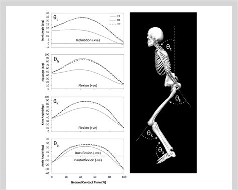 Time Histories Of Sagittal Trunk Segment U T Hip Joint U H Knee