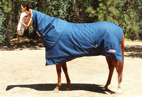 Horse Neck Cover - Sierra HorseWear