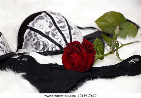 Sexy Black White Lingerie Red Rose Stock Photo 1013917630 Shutterstock