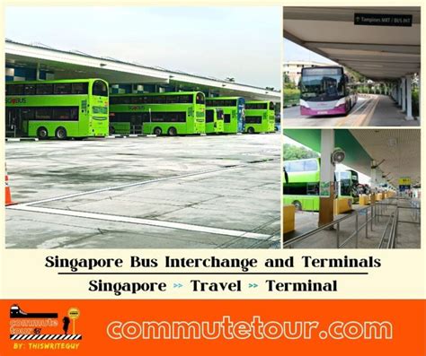 Bus Route Map Schedule And Bus Stops Singapore