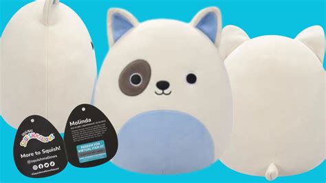 Molinda Roblox Squishmallow: Hurry! Exclusive Virtual Code!