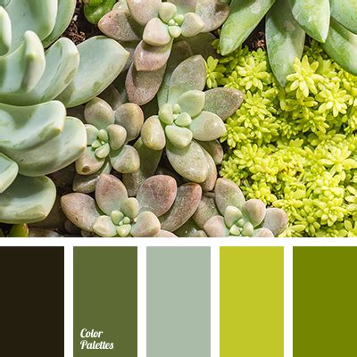 bright green color | Color Palette Ideas